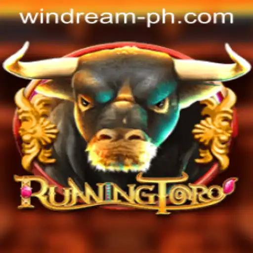 RunningToro Game Adventure